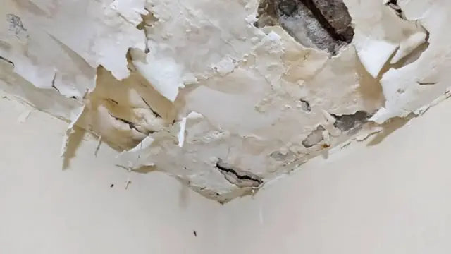 Peeling paint and stained drywall at the corner of a ceiling