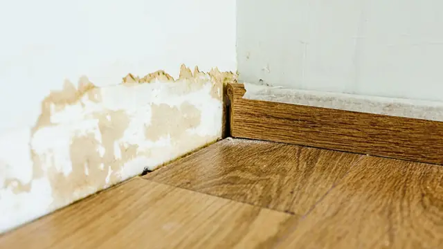 Water stain and bubbling paint on a wall just above the baseboard